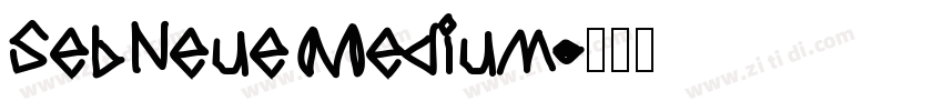 SebNeue Medium字体转换